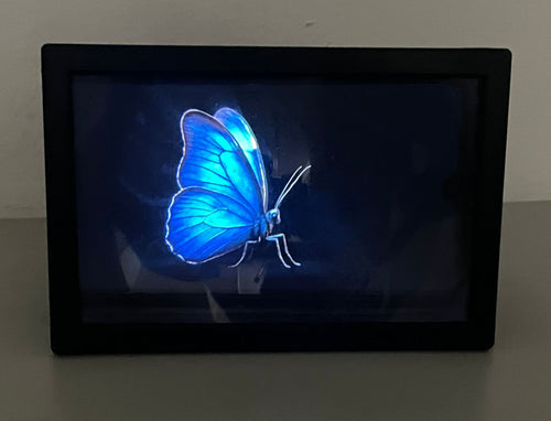 Ampliador de pantalla